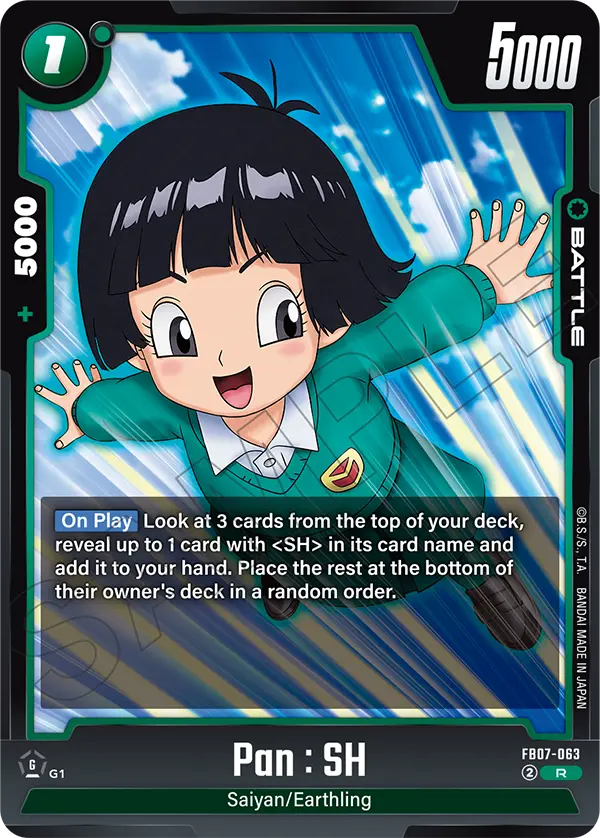 FB07-063