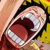 Monkey.D.Luffy